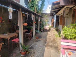  at Vegan Society in Chiang Mai