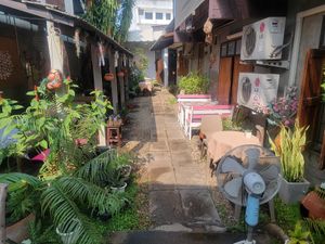  at Vegan Society in Chiang Mai