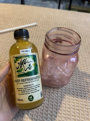 Kombucha  at Vegan Society in Chiang Mai