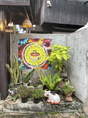 Vegan Society, Chiang Mai  at Vegan Society in Chiang Mai
