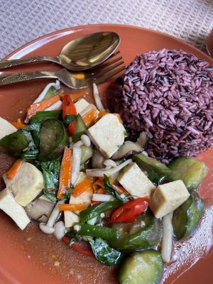Eggplant + tofu  at Vegan Society in Chiang Mai