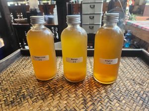 Homemade Raw Kombucha at Vegan Society in Chiang Mai