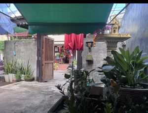   at Vegan Society in Chiang Mai