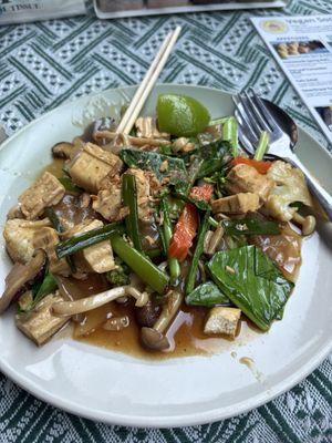 Pad see ew, tofu, mushrooms, veggies  at Vegan Society in Chiang Mai