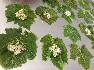 preparing little bites of heaven "dolmadakia" at Margarita in Paros