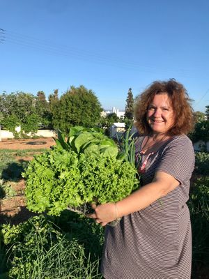 from our garden to your plate  at Margarita in Paros