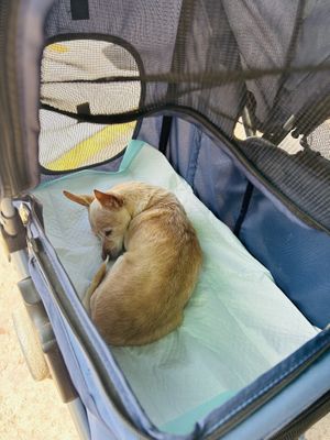 Blonde  at Variable Cafe in Los Angeles