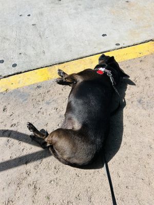 Ella  at Variable Cafe in Los Angeles