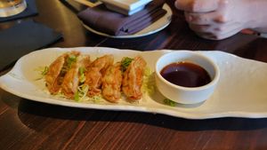 Veggie potstickers at Dragonfly Sushi & Sake Company in Gainesville
