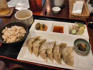 Gyoza plate at Cafe Ren - Kamigyo in Kyoto