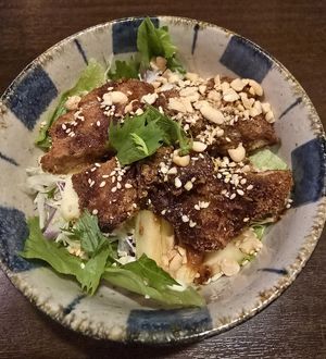 Cutlet Bowl at Cafe Ren - Kamigyo in Kyoto