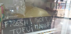 Fresh Tofu at Nica Naturals in San Juan Del Sur