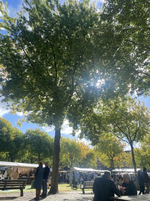   at Rotterdamse Oogstmarkt in Rotterdam