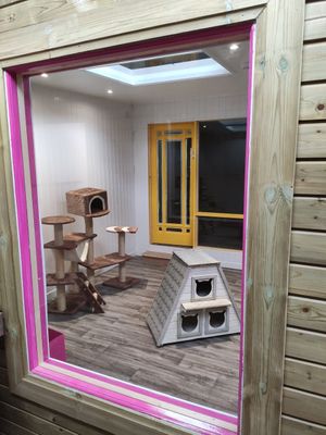 Cat play area, just opened so still getting things ready. They said the cats will move in after the current restrictions are lifted at The Purr in Dublin
