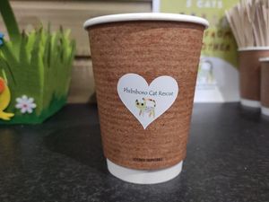 Oat cattucino at The Purr in Dublin