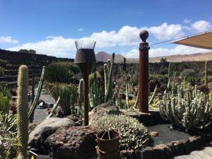 Cactus garden   at Cactus Garden in Lanzarote