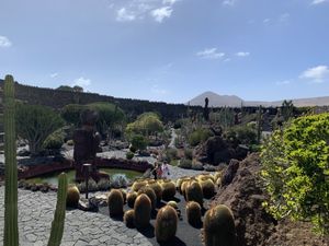 view from the terracee  at Cactus Garden in Lanzarote