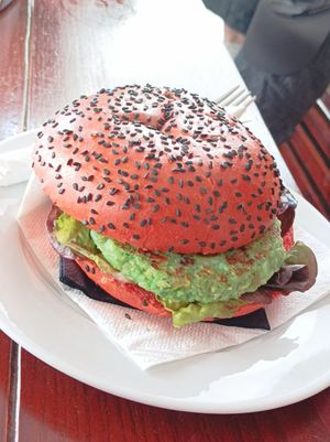  at Cactus Garden in Lanzarote