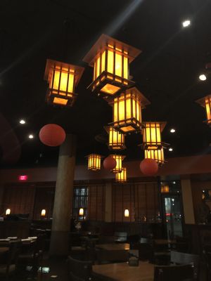 Lighting  at P.F. Chang's in Albany
