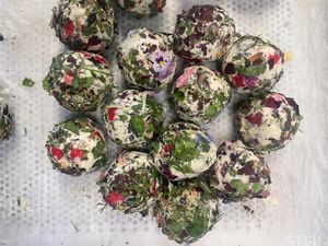  at Virgin Cheese in Clarkdale