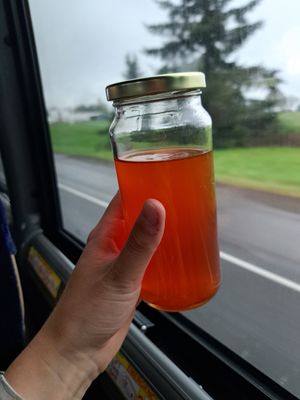 homemade lemonade (yes, it comes in this glass!) at Mama Dut in Portland