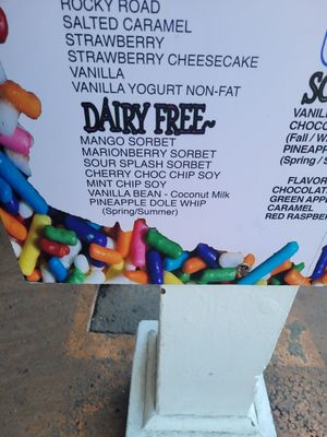 Dairy free  flavors at Lighthouse Ice Cream in San Diego