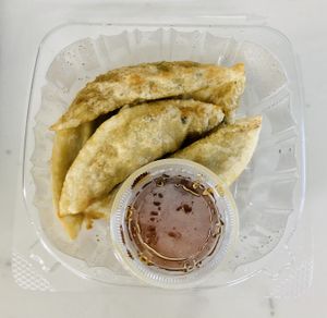 Gyozas at Kamakura Japanese Cuisine in Seattle
