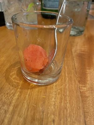 Watermelon-Mint Sorbet   at Don Sanchez in San Jose Del Cabo
