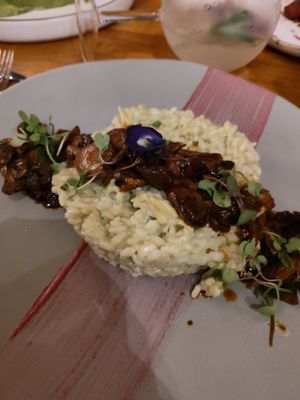 Mushroom risotto was a miss for me but I was very full! at Don Sanchez in San Jose Del Cabo