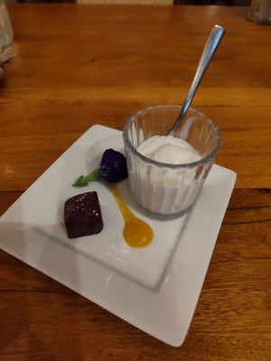 Gratis vegan ice cream dessert with the check at Don Sanchez in San Jose Del Cabo