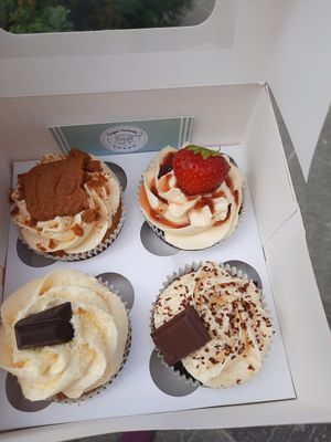  at Vegan Funtastic in Den Helder