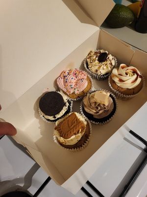 Selection of cupcakes at Vegan Funtastic in Den Helder