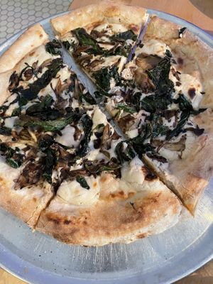 Mushroom pizza  at Lucile Pizza & Wine Bar in Sarasota