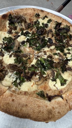   at Lucile Pizza & Wine Bar in Sarasota