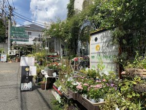 The entrance  at Rengetsutei in Tokyo