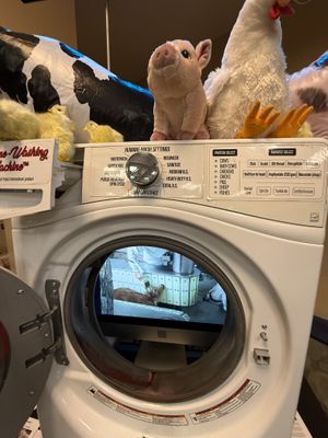   at San Francisco Vegan Society in San Francisco