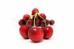 Cireres at La Fruita in Manresa