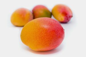 Mango at La Fruita in Manresa