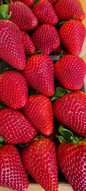 Fresas at La Fruita in Manresa