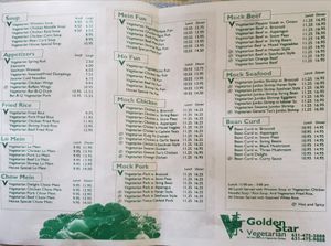 All vegetarian menu, mostly or all vegan at Golden Star in Medford