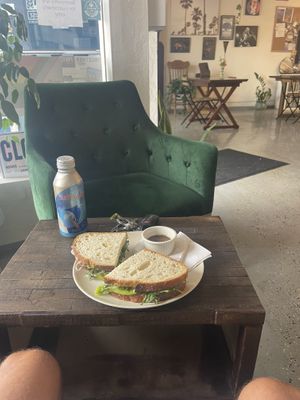 Amazing Mod Lang sandwiche  at The Green House in Oceanside