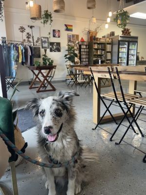   at The Green House in Oceanside