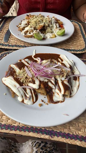Enmoladas and alambre  at Cinnamon Veggie in Cuernavaca