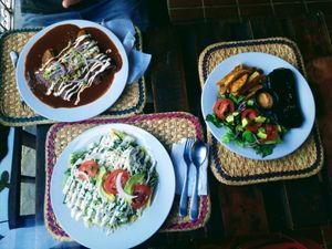 Vegan fish, chilaqiles, Enmoladas at Cinnamon Veggie in Cuernavaca