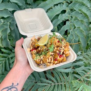 Good Golly Miss Cauli at Twinkle Town  in Port Douglas