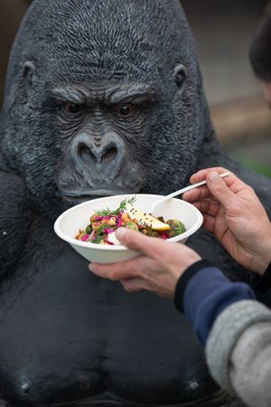 Far Out Brussel Sprout							

 at Twinkle Town  in Port Douglas