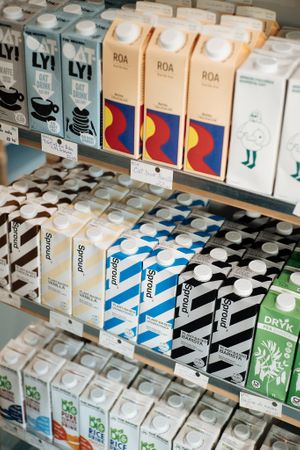 Vegan milk alternatives at OTOTO Amzei  in Bucharest