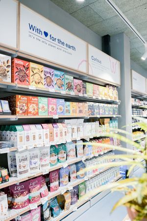 Vegan breakfast options at OTOTO Amzei  in Bucharest