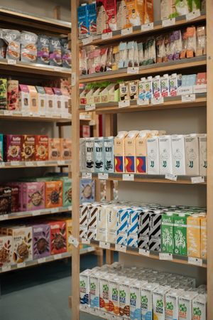 Vegan milk alternatives made from oats, peas, hazelnuts, rice at OTOTO Amzei  in Bucharest