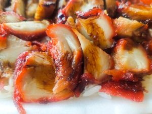 The char siew (barbequed pork) at Yi Xiang Vegetarian - 異香素食 in Central Singapore